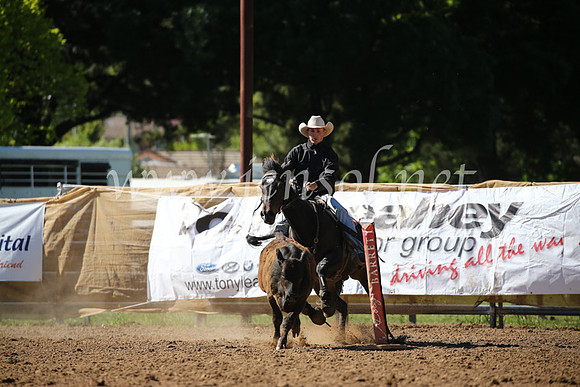 OrangeCampdraft2016_8052