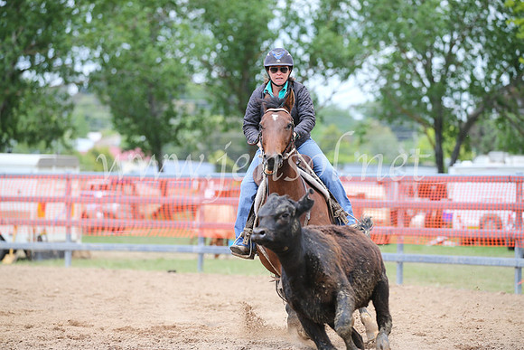 OrangeCampdraft2016_8356
