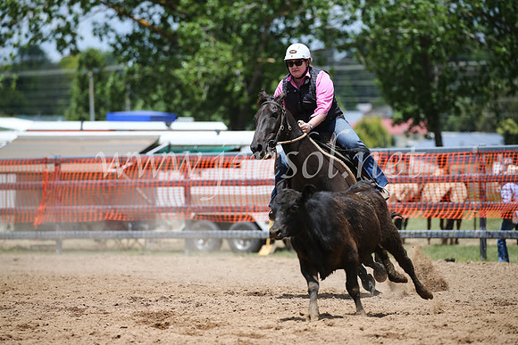OrangeCampdraft2016_8476