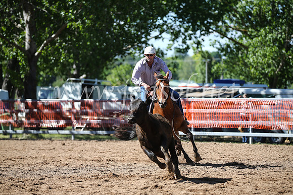 OrangeCampdraft2016_8102