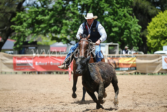 OrangeCampdraft2016_8565