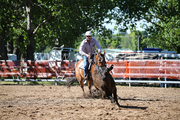 OrangeCampdraft2016_8095