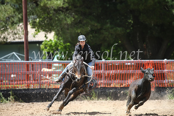 OrangeCampdraft2016_8537
