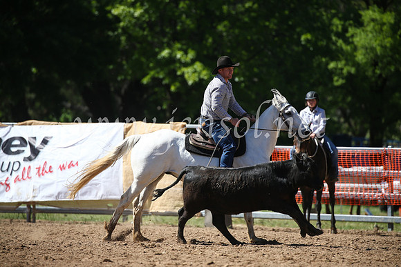 OrangeCampdraft2016_8228