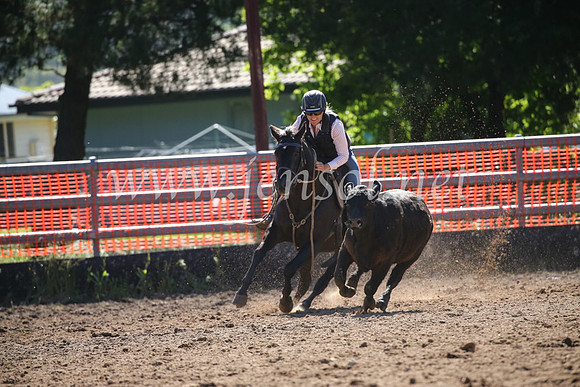 OrangeCampdraft2016_8137