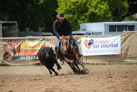 OrangeCampdraft2016_8323