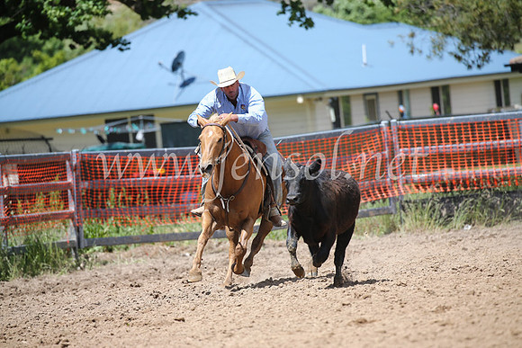 OrangeCampdraft2016_8660