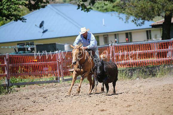 OrangeCampdraft2016_8667
