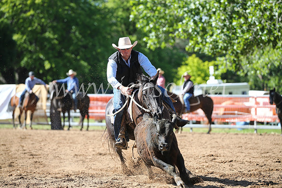 OrangeCampdraft2016_8065