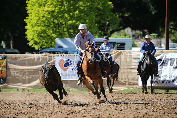 OrangeCampdraft2016_8116
