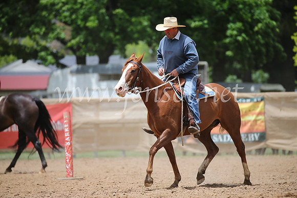OrangeCampdraft2016_8431