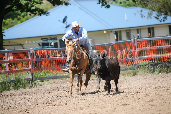 OrangeCampdraft2016_8662