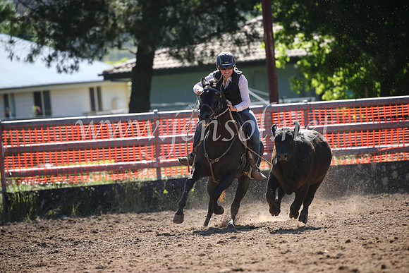 OrangeCampdraft2016_8131