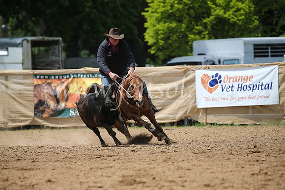 OrangeCampdraft2016_8312
