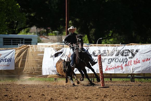OrangeCampdraft2016_8047