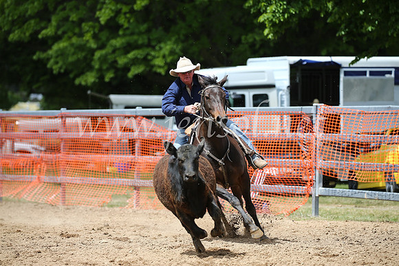 OrangeCampdraft2016_8299