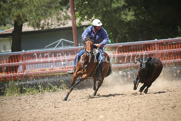 OrangeCampdraft2016_8638