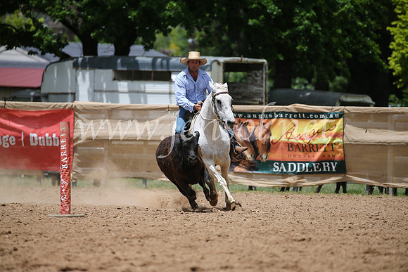 OrangeCampdraft2016_8463