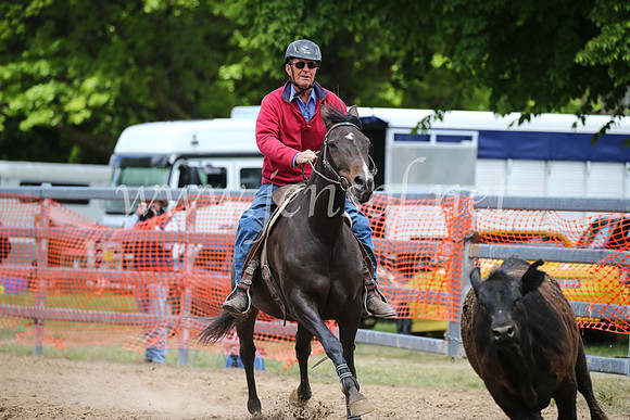 OrangeCampdraft2016_8412