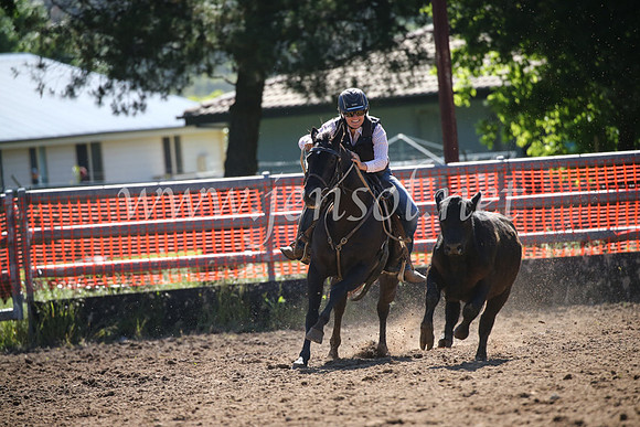 OrangeCampdraft2016_8143