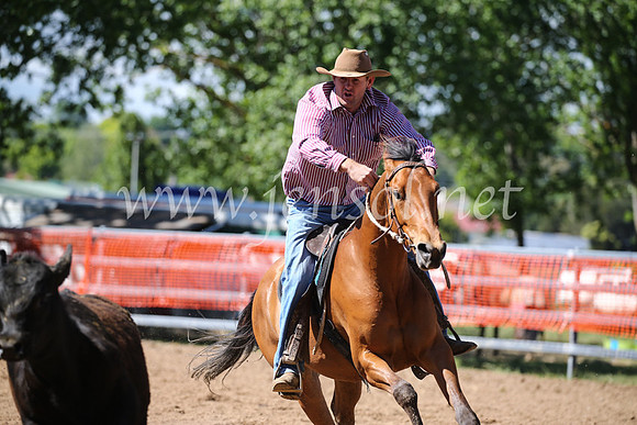 OrangeCampdraft2016_8210