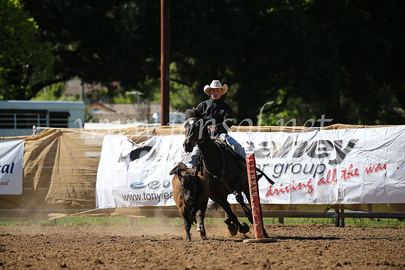 OrangeCampdraft2016_8040