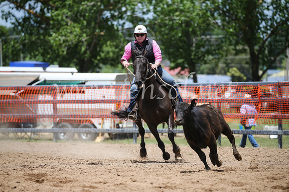 OrangeCampdraft2016_8482