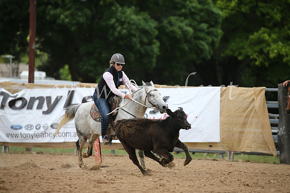 OrangeCampdraft2016_8392