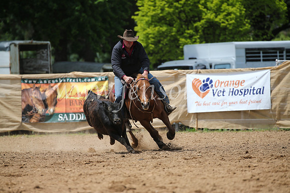 OrangeCampdraft2016_8320
