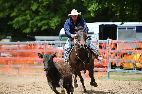 OrangeCampdraft2016_8297