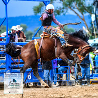 TumutRodeo2019_1554