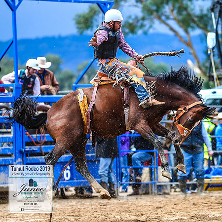 TumutRodeo2019_1554
