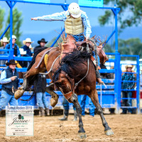 TumutRodeo2019_1356