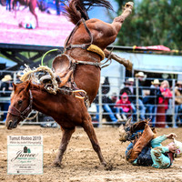 TumutRodeo2019_1537