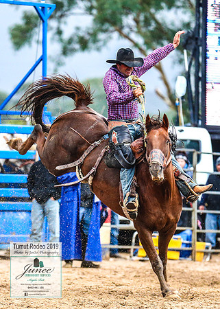 TumutRodeo2019_7550