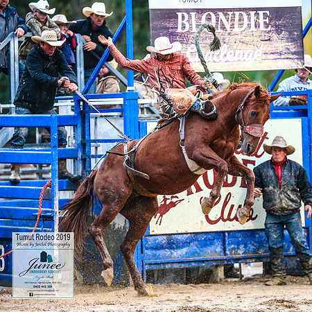 TumutRodeo2019_7725