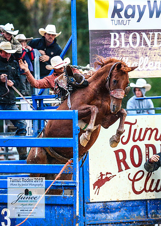 TumutRodeo2019_7729