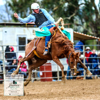 TumutRodeo2019_1254