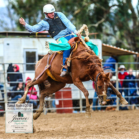 TumutRodeo2019_1254