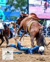 TumutRodeo2019_1510