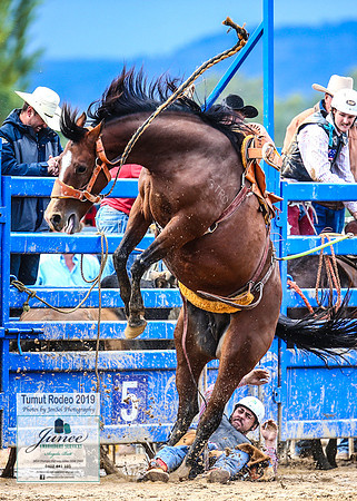 TumutRodeo2019_1599