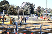 GrenfellRodeo2018_0009