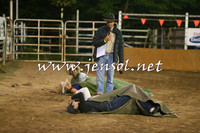 Battleonthebidgee_1003