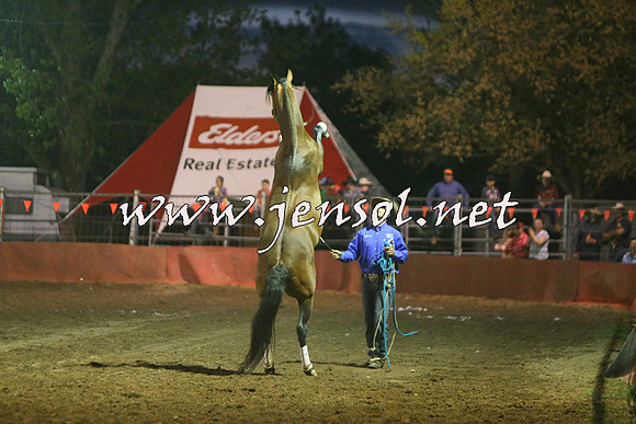 Battleonthebidgee_0991