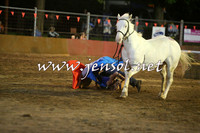 Battleonthebidgee_1031