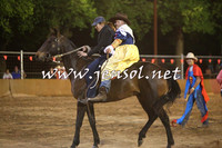 Battleonthebidgee_1043