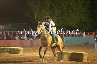 Battleonthebidgee_1100