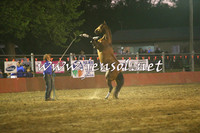 Battleonthebidgee_0986