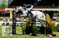 Aust_Champ_JS 012