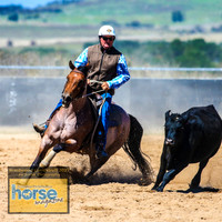 BraidwoodCampdraft2021_2618